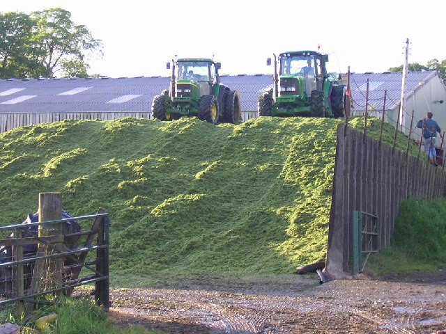 Silage bunker