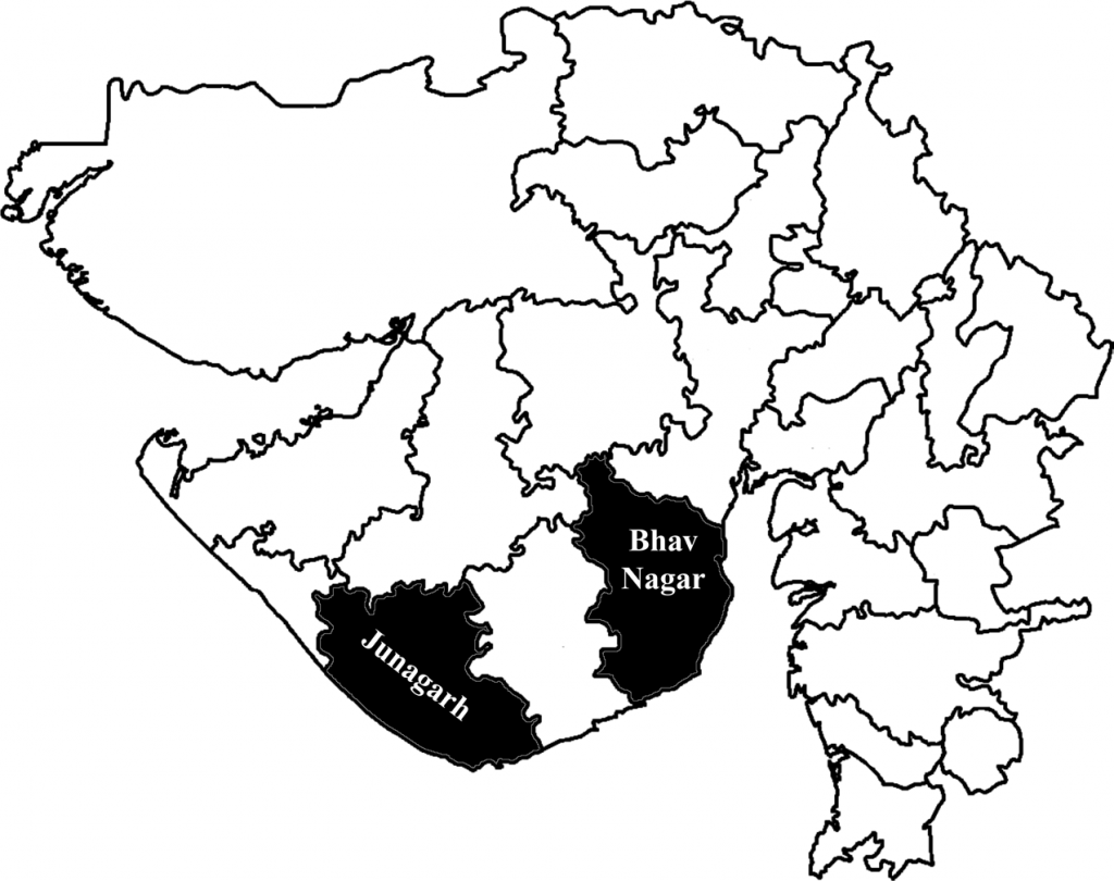 गुजरात के भावनगर तथा जूनागढ़ में गिरी गाय