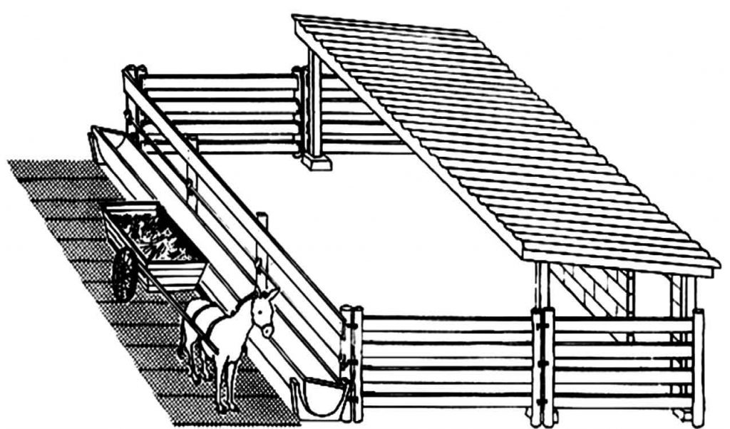 Farm am. Dairy Farm schema.